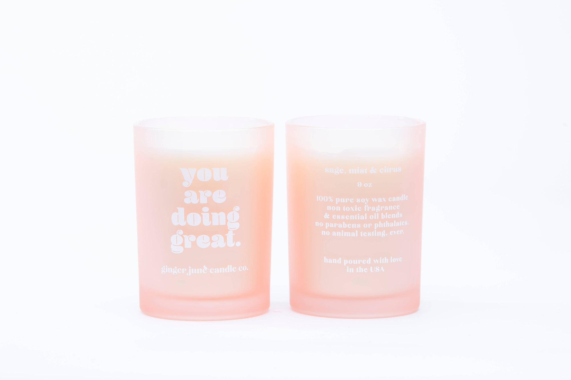 Ginger June Candle Co. YOU ARE DOING GREAT. • tumbler candle
